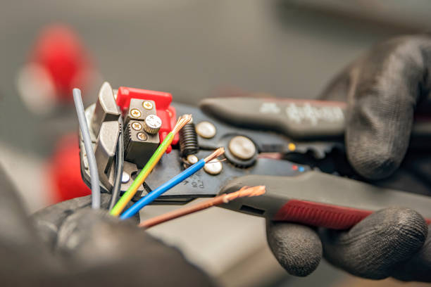 Best Electric Panel Repair  in Taft, FL